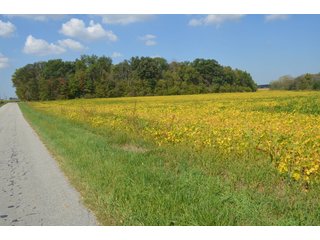 Property photo 28 - REAL ESTATE AUCTION - 604+/- ACRES IN 14 TRACTS IN MERCER CO., OHIO